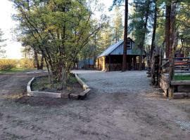 Unique Cabin Rental in Colorado for a Weekend Getaway in the USA，位于Mancos的酒店