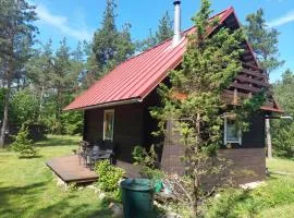 Sinilille suvemaja saunaga