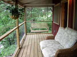 Romantic Ozarks Cabin Rental in Secluded Woodland near Branson, Missouri