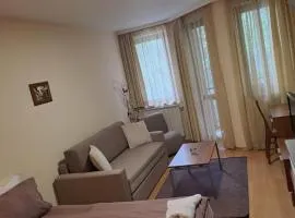 Family Studio 302, Villa park