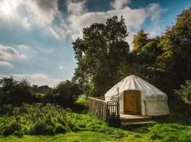 Chestnut - Yurt