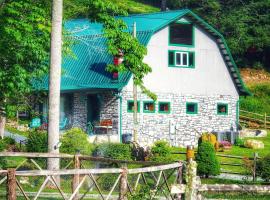 Fantastic Barn Suite with Hot-tub and Petting Zoo in Sugar Grove, North Carolina，位于Forest Grove的酒店