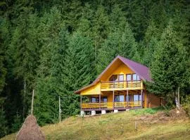 Котедж Forest house