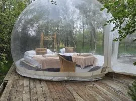 Eyja Mork - Aurora Borealis Igloo with Hot Tub, BBQ and shared kitchen