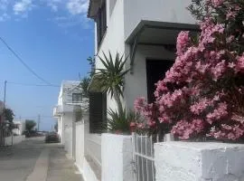 Cozy house by the sea