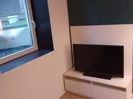 Apartment in Basement 1 room self-contain