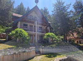 Vila Borovi，位于Zaovine的酒店