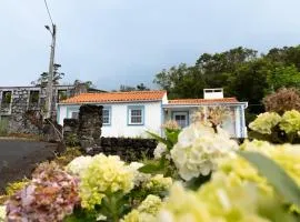 Casa da Mãe - Entre o Pico e a Maré