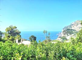 Casa Laboccetta，位于卡普里的乡村别墅