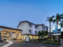 洛斯阿拉米托斯贝斯特韦斯特旅馆及套房酒店
