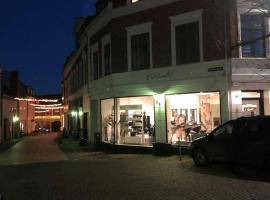 Overgaard Rooms & Appartments，位于约灵的酒店