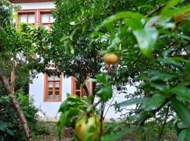 Asiye Hanım Konağı