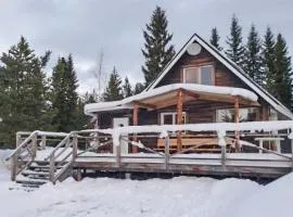 2 Bedroom Awesome Home In Mörsil