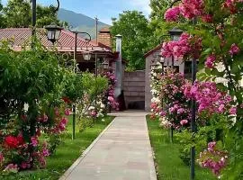 Dream house