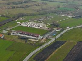 Sólyom Major - Gut Falkenhof，位于Şoimuşu Mic的酒店