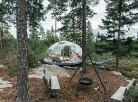 Glass Igloo With Nordic Design In Nature