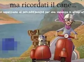 MolinDeiMaghi