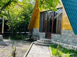 Borjomi-sadgeri''Twins''