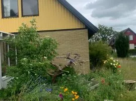 Cozy room and rooms in a town