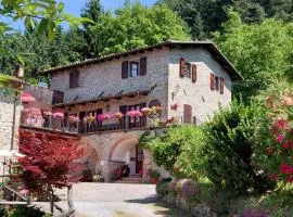 B&B DANIELA affittacamere