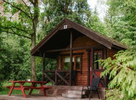 Kempings Lejasbisenieki，位于Turaida的酒店