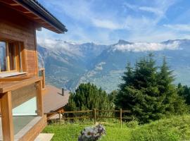 Swiss Chalet Feniks by Jolidi，位于南达的酒店