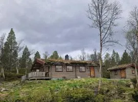 Timber Cabin With Views Near Røros