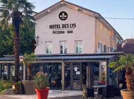 Hôtel des Lys，位于沙拉龙恩河畔沙蒂利翁的酒店
