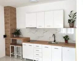 Studio Apartman Oaza