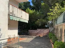 Desiderio D'Ammore CILENTO