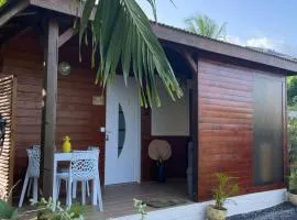 Bienvenue au cocon de Moreau