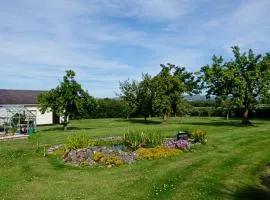 The Paddock