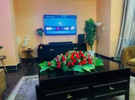 Central Beautiful & peaceful Private bedroom AC, Very fast WiFi 1