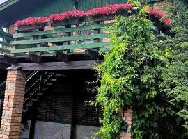 Lisia Góra nad jeziorem Łebsko