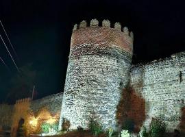 Sighnaghi Hotel Fence Door&Сигнахи Отель Ворота Крепости&სიღნაღი სასტუმრო გალავნის კარი，位于西格纳吉的酒店