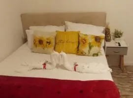 Bahamas petapat suite