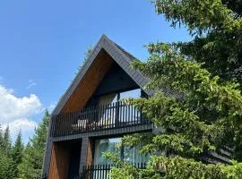 Black Chalet