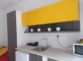 Studio Panthi