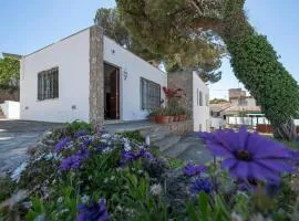 Casa Can Picafort Mallorca