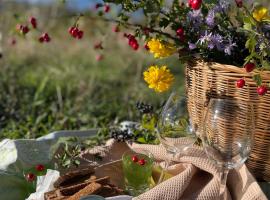 Milky Way Guest House，位于Znakva的乡村别墅