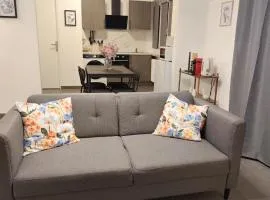 Les suites frontalières T2 avec Parking secteur Thionville Luxembourg