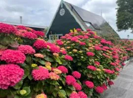 Vakantiehuis Het Uilennest