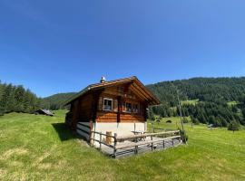 Peter's Hütte in Hasliberg Bidmi，位于哈斯利伯格的酒店