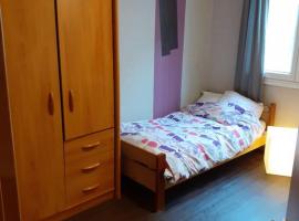 Chambre 2 avec un lit simple，位于斯特拉斯堡的酒店