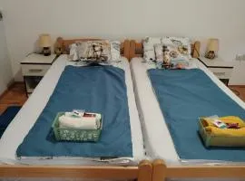 Apartman Domina