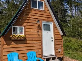 Farmhouse cabin on 33 acre farm