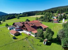 Hotel Hirschenstein，位于阿赫斯拉赫的酒店