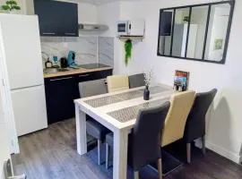 Appartement cosy centre ville