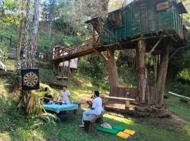 Casa en el Arbol - Cerca Metrocable ARVI - Camping