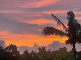 Art D Sunset